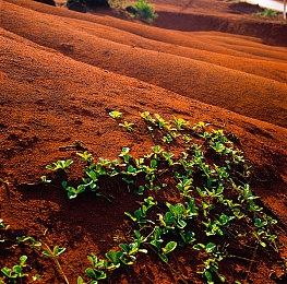 《死或生：女神璀璨假期》新截图 这姿势真的很难顶