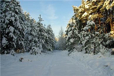 《游离于世界之海》明年2月登陆PS和Xbox主机